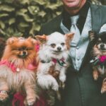 pet friendly wedding venues uk